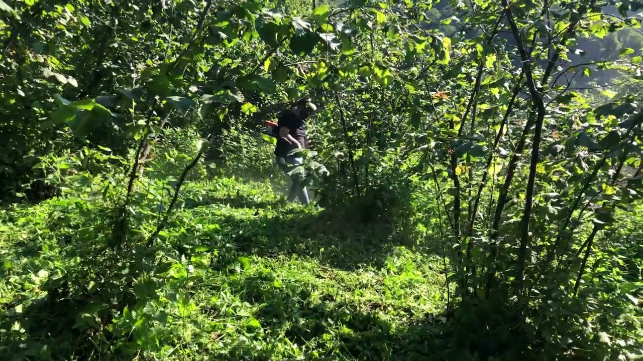 Örnek Bahçe Uygulaması (Sample Garden Application)