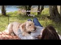 【暮らしのvlog】 犬と夫婦の日常 / 週末のvlog / 箱根のドッグランへお出かけ / 茅ヶ崎の幸福餃子 /   /日々の暮らし   ＃87