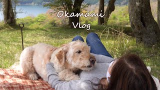 【暮らしのvlog】 犬と夫婦の日常 / 週末のvlog / 箱根のドッグランへお出かけ / 茅ヶ崎の幸福餃子 /   /日々の暮らし   ＃87