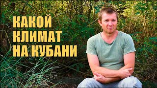 Какой климат на Кубани | Погода в Краснодарском крае | Жизнь на Кубани Какой климат на Кубани | Погода в Краснодарском крае | Жизнь на Кубани
