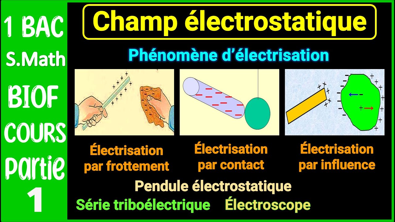 P1- Champ électrostatique || Cours détaillé || 1BAC - BIOF