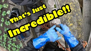 I Found Something SHOCKING You Won't Believe what!