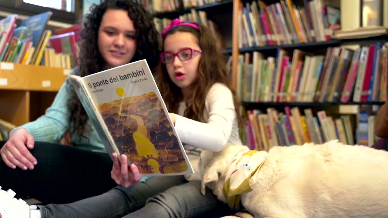 Con-Fido Sarmede - Rocking Motion