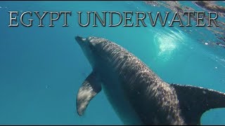 Egypt Underwater