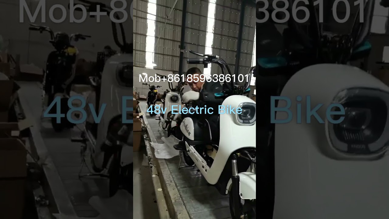 Wholesale Customized Good Quality Ebike Bicycles 48v High Speed Electric Bikes