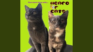 Download Lagu Correct MP3