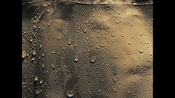 408p – 98 Percent Humidity