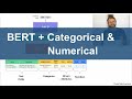 Mixing BERT with Categorical and Numerical Features