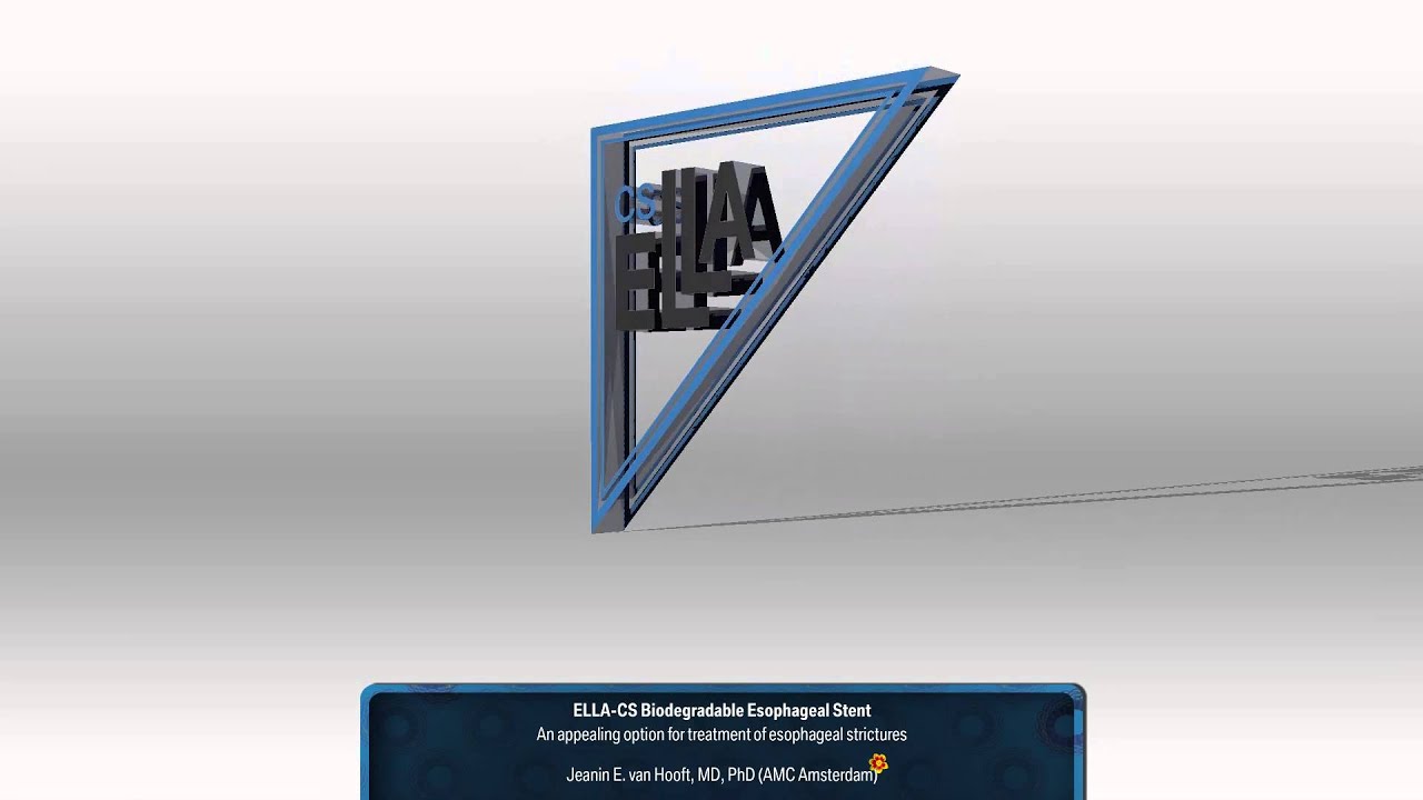 ELLA-CS BD Stent 3D rotation