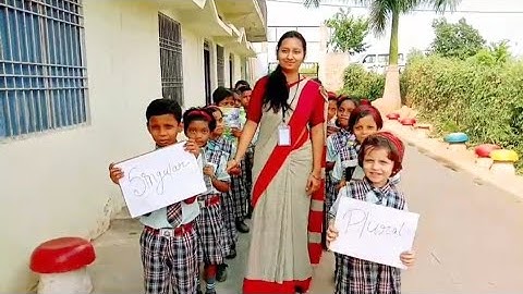 Singular & plural activities/ierc the flying kids school