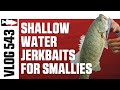 Shallow Water Jerkbaits for Smallies on St. Clair with Brent Ehrler - VLOG 543