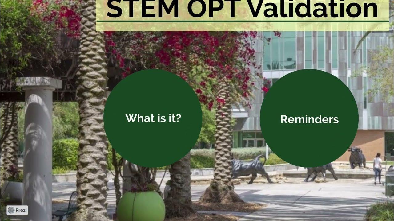 what-is-stem-opt-validation-youtube