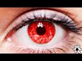 Colores De Ojos Más Extraños Encontrados En Humanos