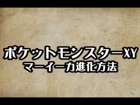 Xy 技 教え ポケモンの壁紙