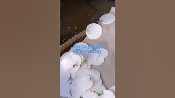 Mesin perajang singkong polos.. kapasitas 100kg/jam..telp/wa 081328133337 Magelang