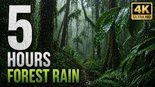 🌲 Forest Rain Sounds 5 Hours | Deep Sleep &amp; Relaxation Ambience 4K