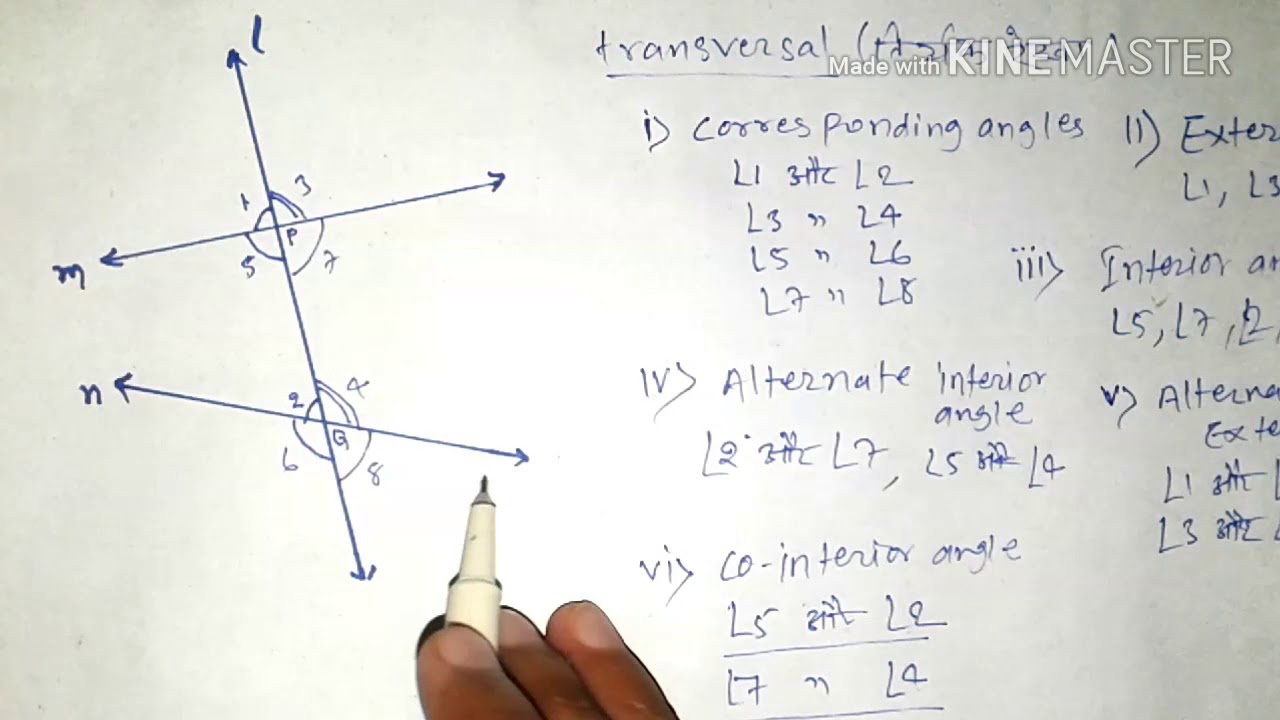 Lines And Angle Basics Axioms Types Of Class9 Hindi You