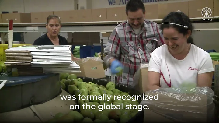 The Evolution of The State of Agricultural Commodity Markets and FAO’s Work on Trade and Food