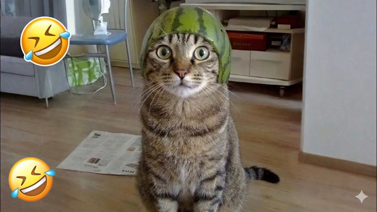 You Laugh You Lose 🤩 Funniest Cats and Dogs 2026😹🐩 Part 18