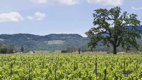 Langtry Estate & Vineyards