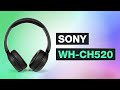 Sony Kopfhörer WH-CH520 im Test - Der günstige On Ear Kopfhörer für Alle - Testventure