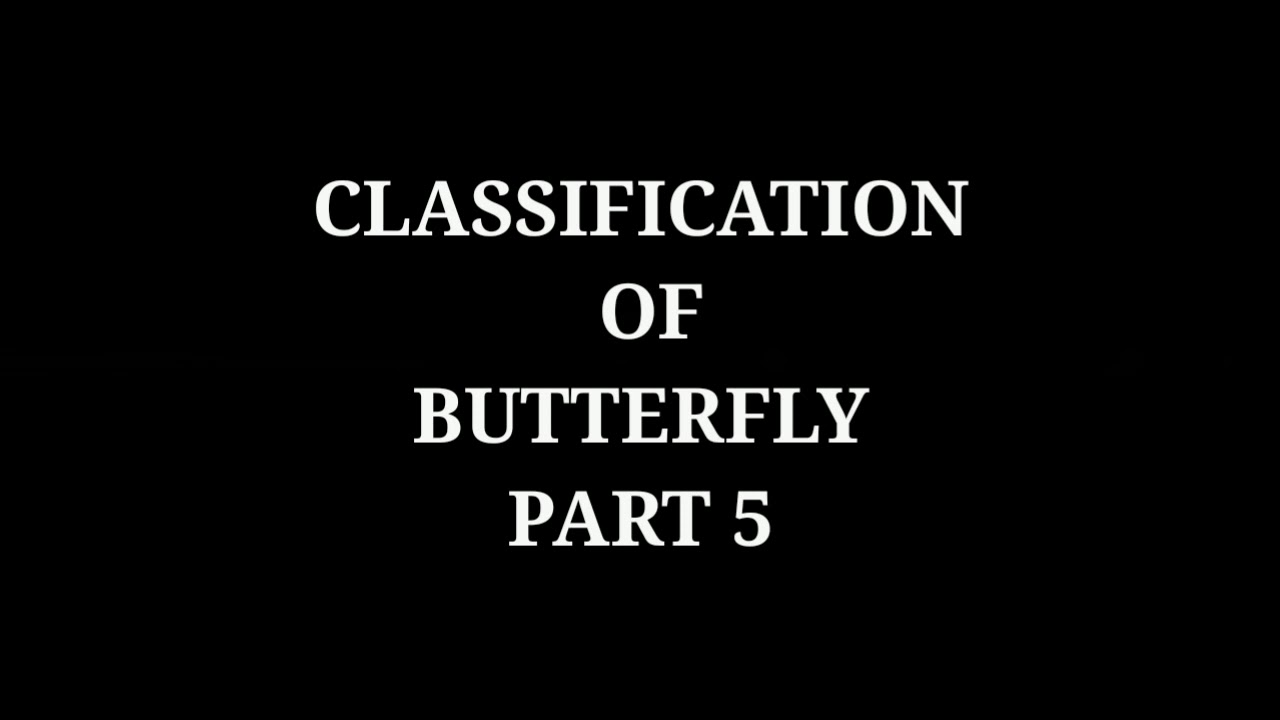Classification of butterfly part 5 , Family Lycaenidae, sub family miletinae