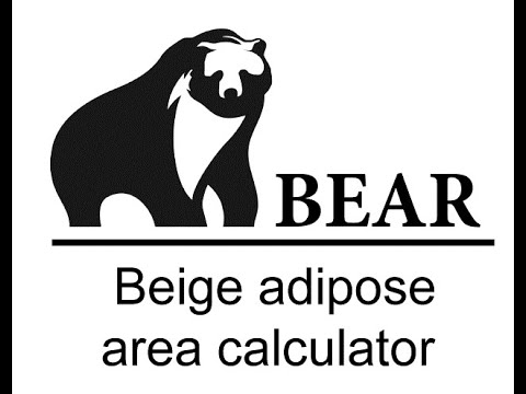BEAR Software: Beige Adipose area calculator: Journal of Clinical Investigation : Röszer Lab