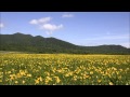 【太鼓の達人】 綻放 ～Blooming～ 【音源】