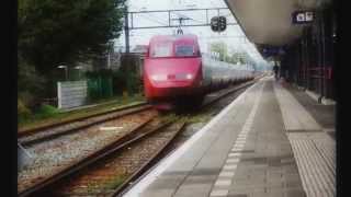 Zij Kwam Zomaar Gouda Binnen Lopen.