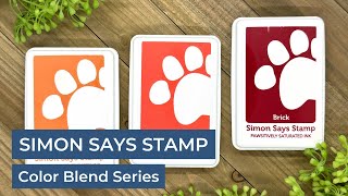 Simon Says Stamp Pawsitively Saturated Ink Color Blend Series