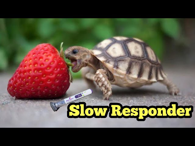 Not Losing / Nonresponder / Slow Responder Tips Mounjaro Zepbound Ozempic Wegovy Semaglutide Tirzep