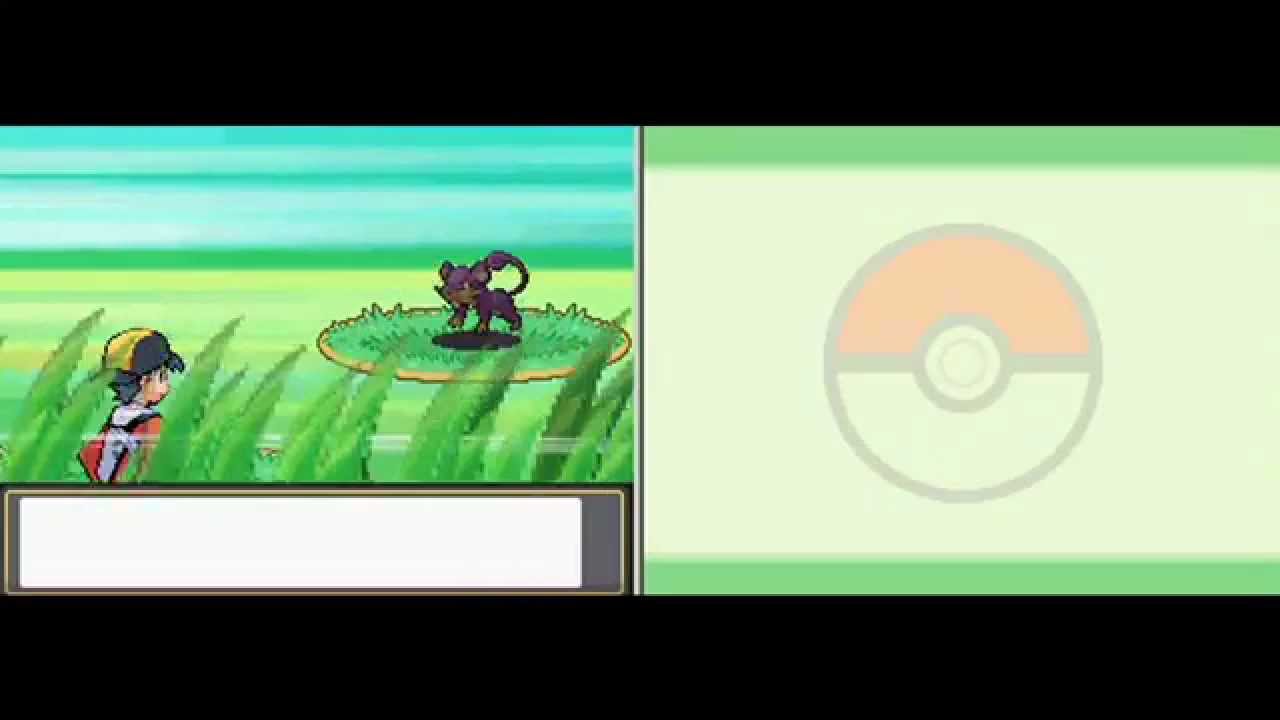 GWFan's Eighth Update