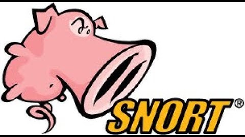 Setting up snort windows