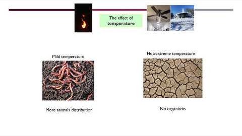 Sains itu mudah/DLP FORM 2/CHAPTER 2 /HABITAT,SPECIES,POPULATION,COMMUNITY & ECOSYSTEM/PT3