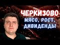 Акции Черкизово - стоит ли покупать в 2021? Компания роста с дивидендами.