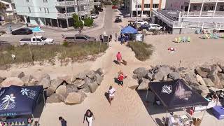 SURF DOG EXPERIENCE 13