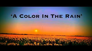 ‘A Color In The Rain’ original guitar music
