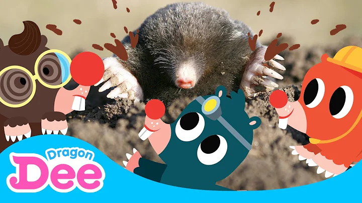 Mo Mo Mo Moles | Moles are coming! | #Burrow | Animal Rush 2 | Dragon Dee Songs for Children - DayDayNews