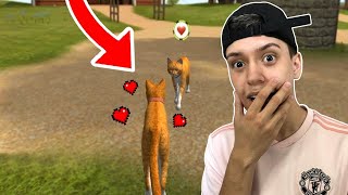 CONSEGUI UMA NAMORADA E LUTAMOS CONTRA UMA RAPOSA!! (Cat Simulator) screenshot 5