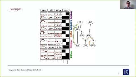 CellNOpt / CARNIVAL, by Bartosz Bartmanski (ISMB/ECCB 2021)