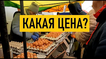 Сколько стоят домашние яйца в Киеве