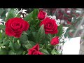 Уценённые Цветочки в Оби.Миллион Алых Роз.
