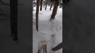 Skier & Snowboarder In Trees #skiing #snowboarding #treeskiing