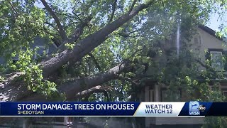 Toppled trees landed on homes in Sheboygan