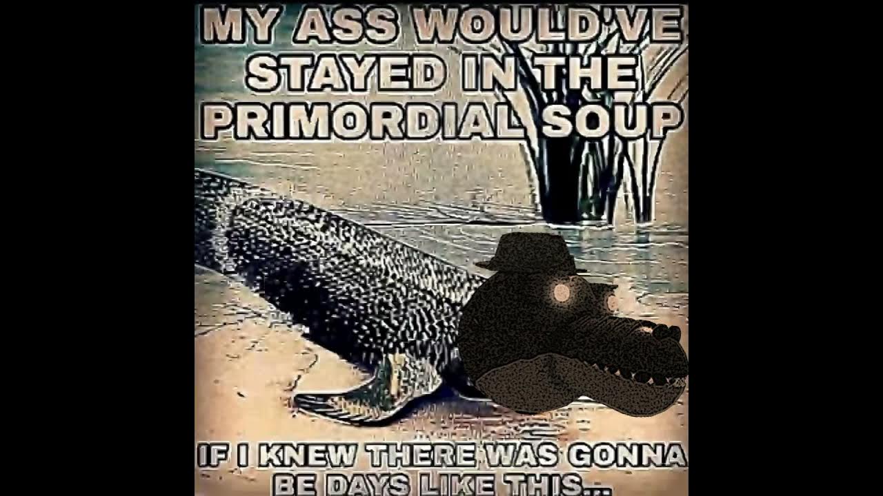 I Would Have Stayed In The Primordial Soup my ALFIS woulda stayed in the primordial soup if i knew there'd be days