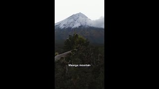Te Reo Māori guide, New Zealand