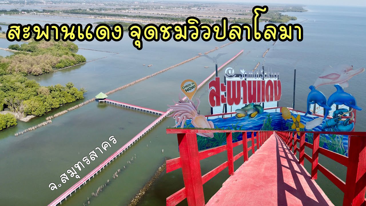 สะพานแดง จุดชมวิวปลาโลมา | The Red Bridge (Dolphin Watching Area) ชมวิวป่าชายเลน ไม่ไกลจาก พระราม 2