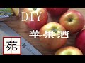 DIY apple enzyme  /  cider wine（apple wine)   自制苹果酵素/苹果酒