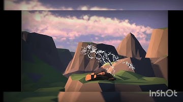 Cell to singularity Evolution