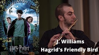 Hagrid's Friendly Bird - Flute Excerpts | Stefano Casini, flute